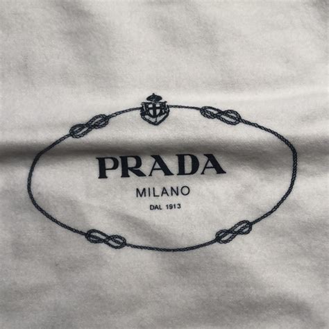 prada dust cover|Prada evening bag.